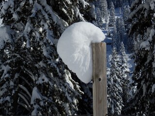 Appartamento Au in Vorarlberg Registrazione all'aperto 16