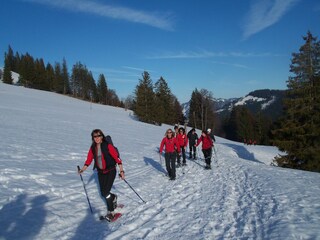 Appartamento Au in Vorarlberg Registrazione all'aperto 13