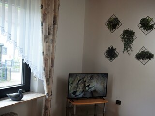 Wohnzimmer TV