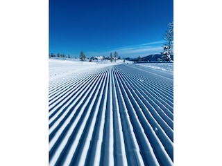 Schneespur