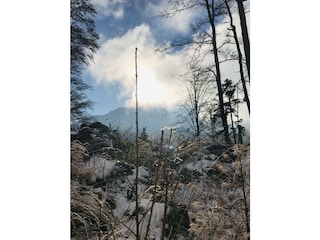 Natur