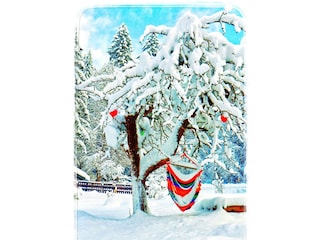 Hängesessel im Schnee _ Haus Grubbach