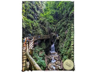 Dr. Vogelgesang Klamm