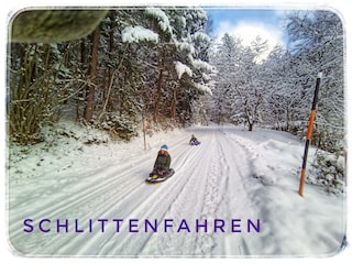 Schlittenfahren