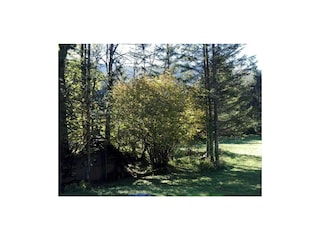 großzügiger Garten