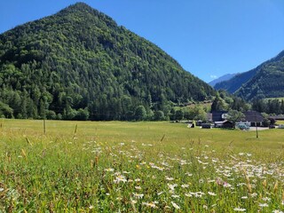 unser Hof mit dem Steyrsberg