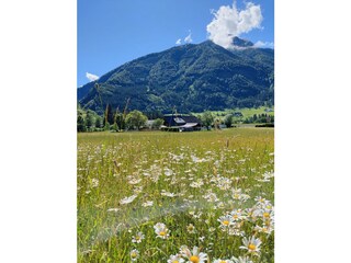 unser Hof mitten im Grünen