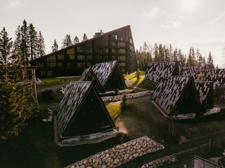 Drohne_Sommer_01_PaulSimpson