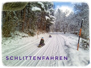 Schlittenfahren
