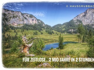 Wurzeralm