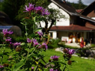 DSC09120