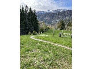 IMG_5735