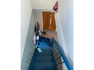 Rosenau_04