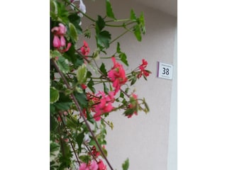 Blumen beim Eingang