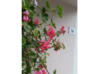 Blumen beim Eingang