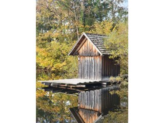 IMG-018a12548c0dfd39c3fef93d0c3bc9b1-V