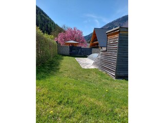 Pool im Grünen