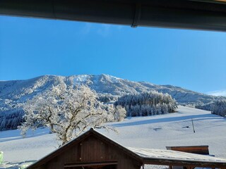 Tamberg-Blick