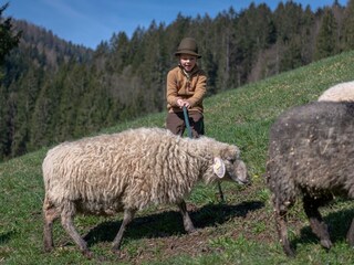 Kinderbauernhof Bild-19