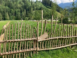 Kartoffelacker-1800x1350