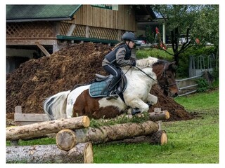 Alina-auf-Jack-Gelaendehinderniss