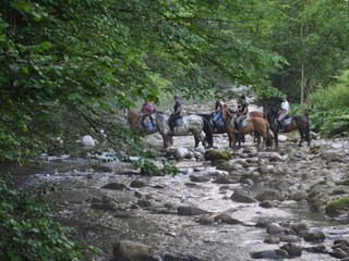 DSC_0130.jpg-verkleinert-1800x1196