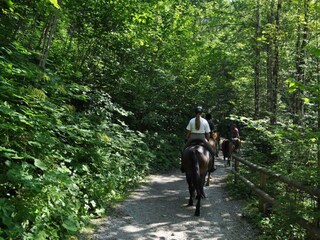 DSC_0121.jpg-verkleinert-1800x1196