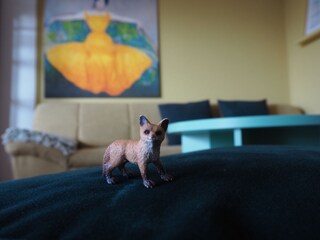 Füchse überall  :-)