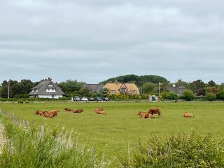 Ferienhaus Westerland Ausstattung 19