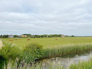 Ferienhaus Westerland Ausstattung 20