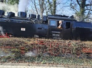 Vista del Brockenbahn