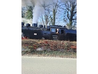 Appartamento per vacanze Wernigerode Registrazione all'aperto 1