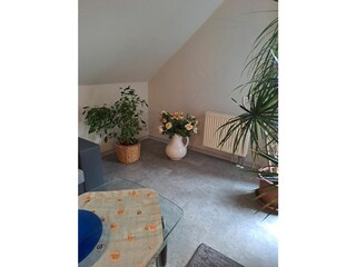 Appartamento per vacanze Wernigerode Caratteristiche 13