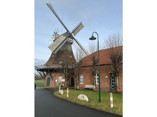 Mühlenbesichtigungen