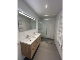 Bathroom and shower downstairs