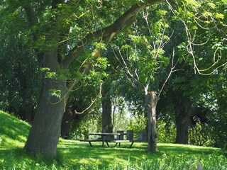 Farmhouse Gelderland Environment 13