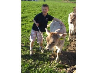 Boerderij Olang  13