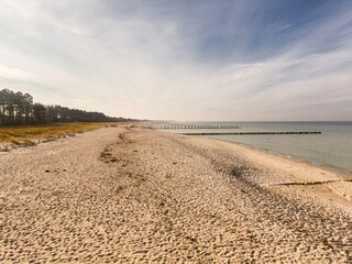 Maison de vacances Zingst Environnement 24