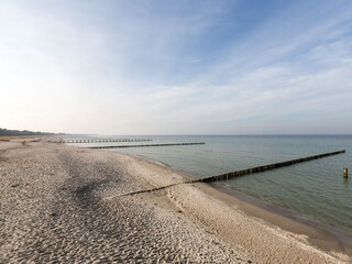 Maison de vacances Zingst Environnement 25