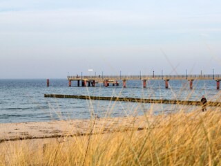 Maison de vacances Zingst Environnement 26