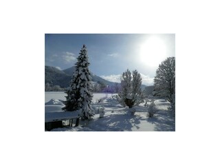 Winter11012019 (49)-001