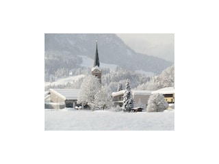 Winter11012019 (32)-001