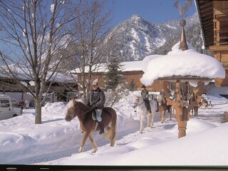 Hanneshof Ausritt im Winter