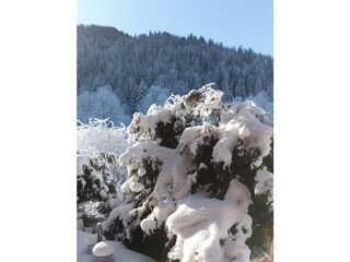 IMG_20241230_103912_755