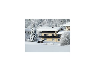 Garten1