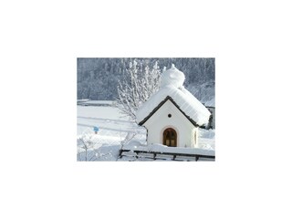 Winter11012019 (14)