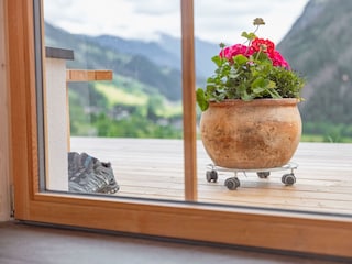 Chalet neu Juni 2024-149