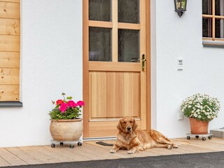 Chalet neu Juni 2024-3