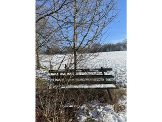 Bank im Schnee