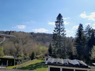 Blick in den Garten und Wald